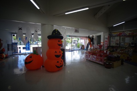 IMGP2693 (カスタム)