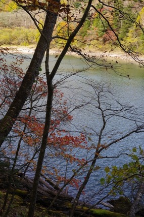 IMGP2632 (カスタム)