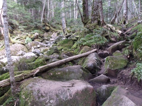 100_0118 (カスタム)