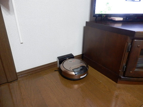 P8090293