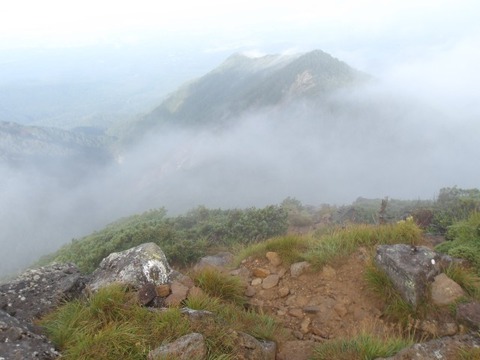 100_0175 (カスタム)