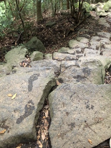 IMG_6649 (カスタム)