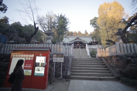 IMGP2804 (カスタム)