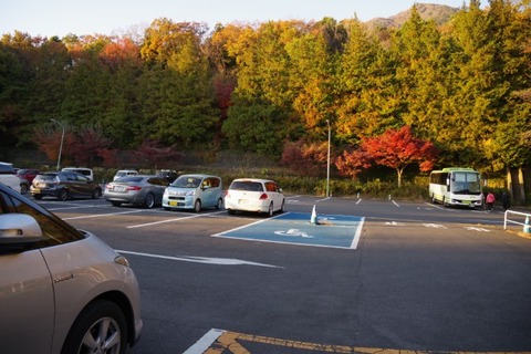 IMGP2794 (カスタム)