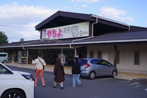 IMGP2739 (カスタム)