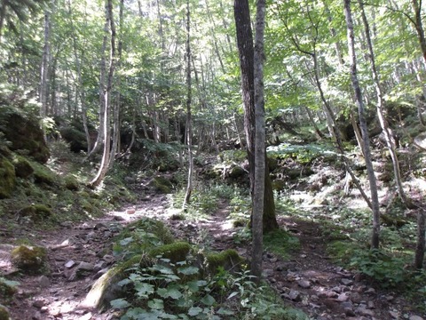 100_0200 (カスタム)