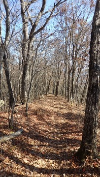 PB090412 (360x640)