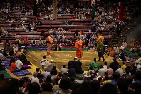 IMGP2354 (カスタム)