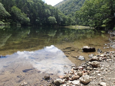 100_0207 (カスタム)