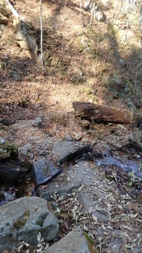 PB090427 (360x640)