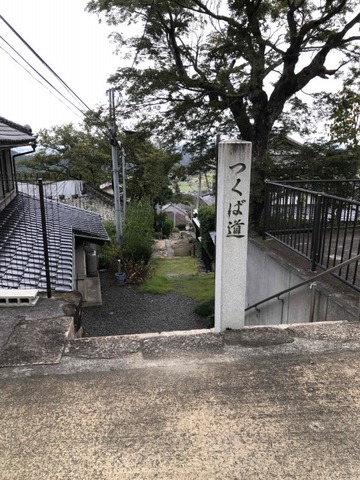 IMG_6653 (カスタム)