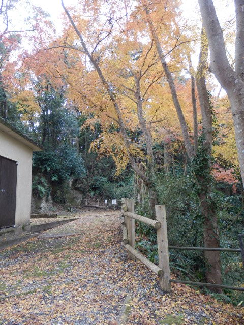 イメージ 15