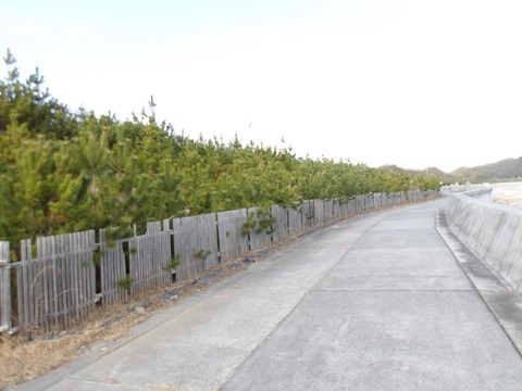 100_0684 (カスタム)