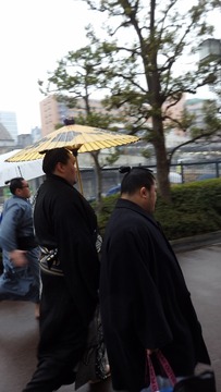 P1230064 (360x640)