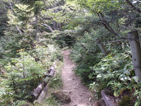 100_0204 (カスタム)