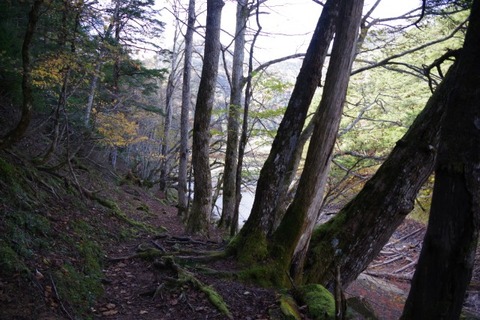 IMGP2626 (カスタム)