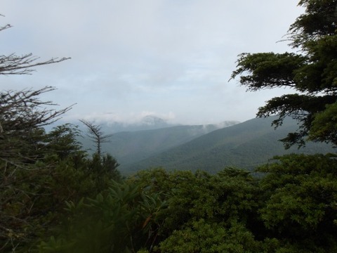 100_0187 (カスタム)