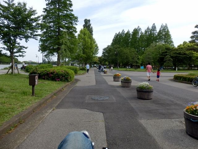 イメージ 1