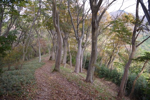 IMGP0200 (640x427)