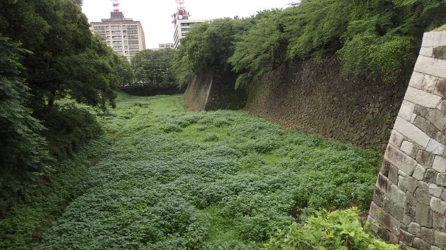 イメージ 6