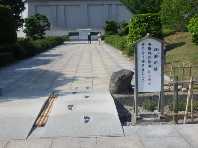 イメージ 7