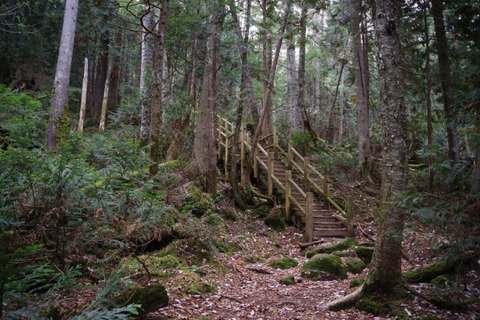 IMGP2638 (カスタム)