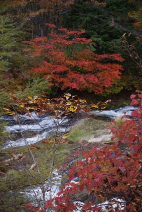 IMGP2683 (カスタム)