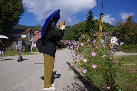 IMGP2435 (カスタム)