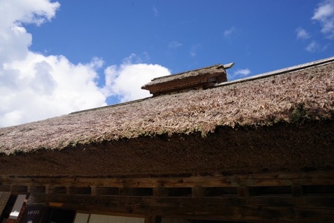 IMGP2541 (カスタム)