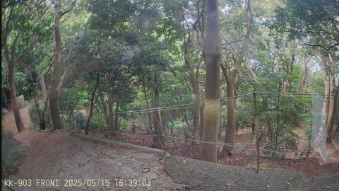 20250515163804_000171F - frame at 1m0s (カスタム)