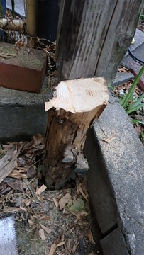 P1190151