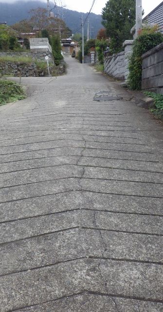 イメージ 9