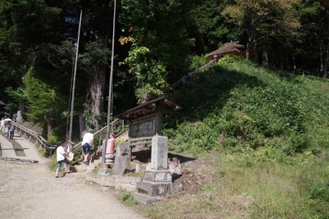 IMGP2453 (カスタム)