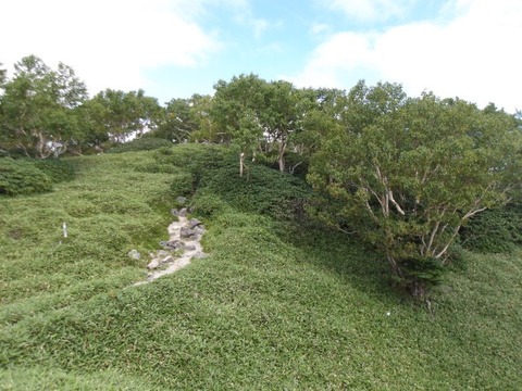 100_0254 (カスタム)