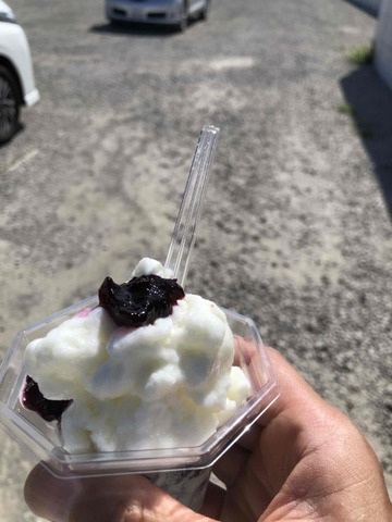 IMG_9246 (カスタム)