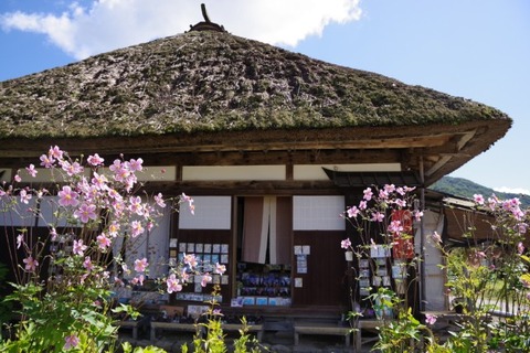 IMGP2442 (カスタム)