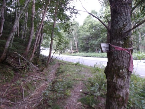 100_0282 (カスタム)