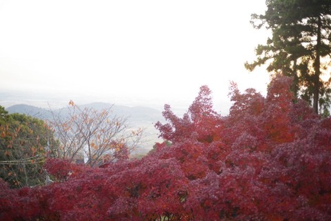 IMGP2826 (カスタム)