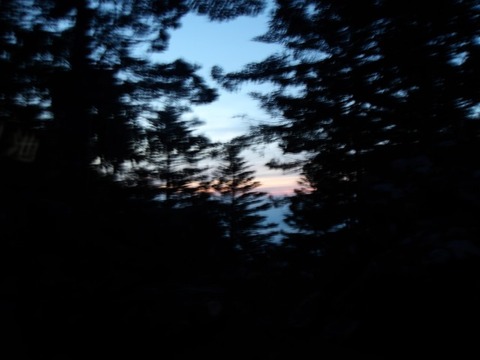 100_0131 (カスタム)