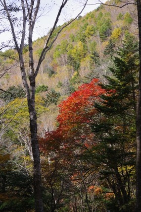 IMGP2585 (カスタム)