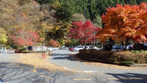 PB090377 (640x360)