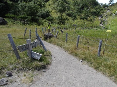 100_0211 (カスタム)