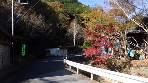 PB080138 (640x360)