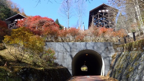PB090382 (640x360)