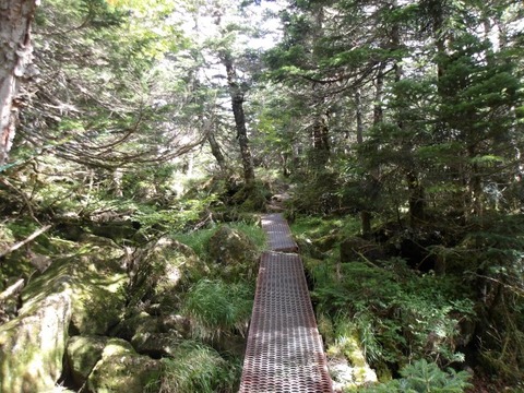 100_0121 (カスタム)