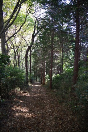 IMGP0231 (427x640)