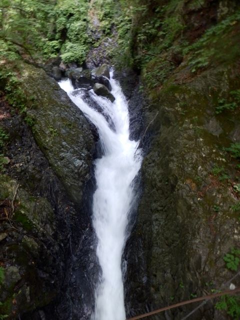 イメージ 18