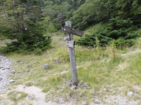 100_0247 (カスタム)