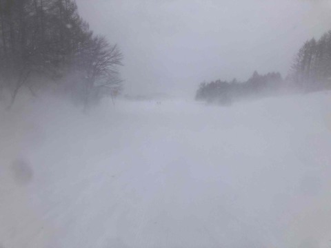 IMG_7429 (カスタム)