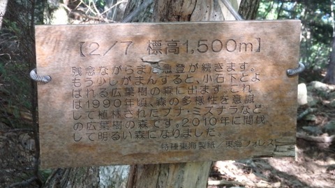 P8050053 (640x360)